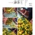 东江湖的蜜桔大量上市中