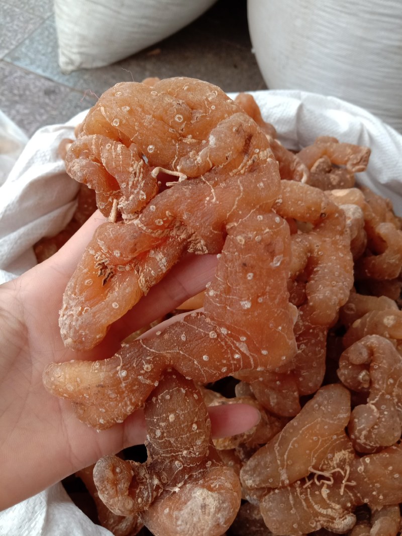 野生黄精，姜型黄精，生黄精，制黄精