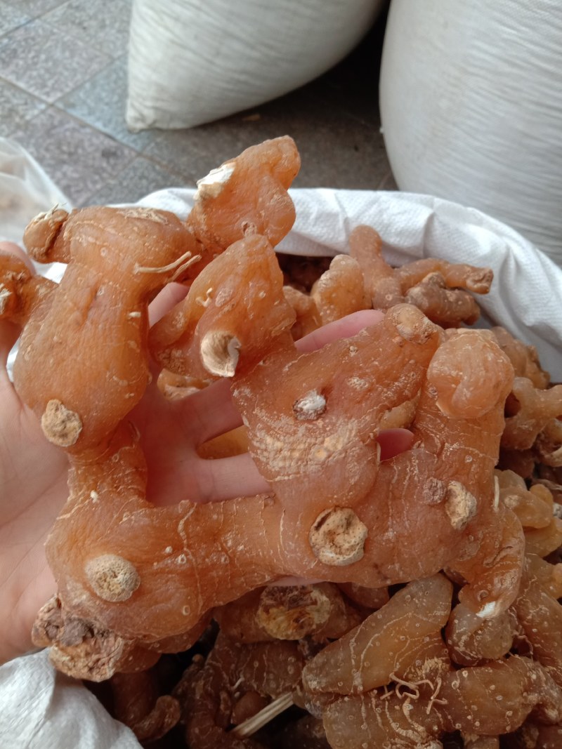 野生黄精，姜型黄精，生黄精，制黄精
