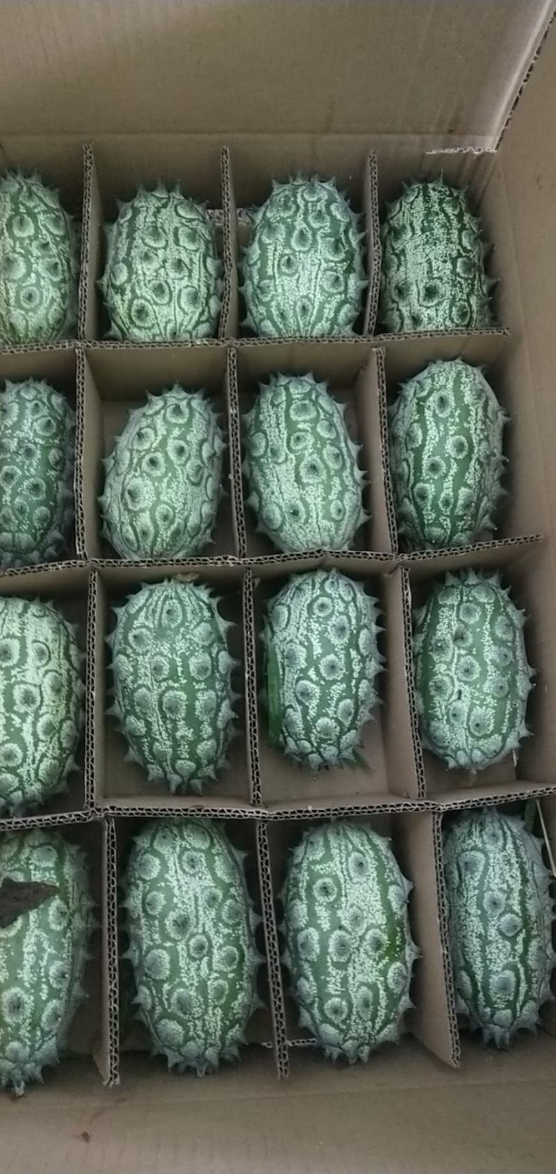 百利特色农业大量收购火参果，你种植，我收购