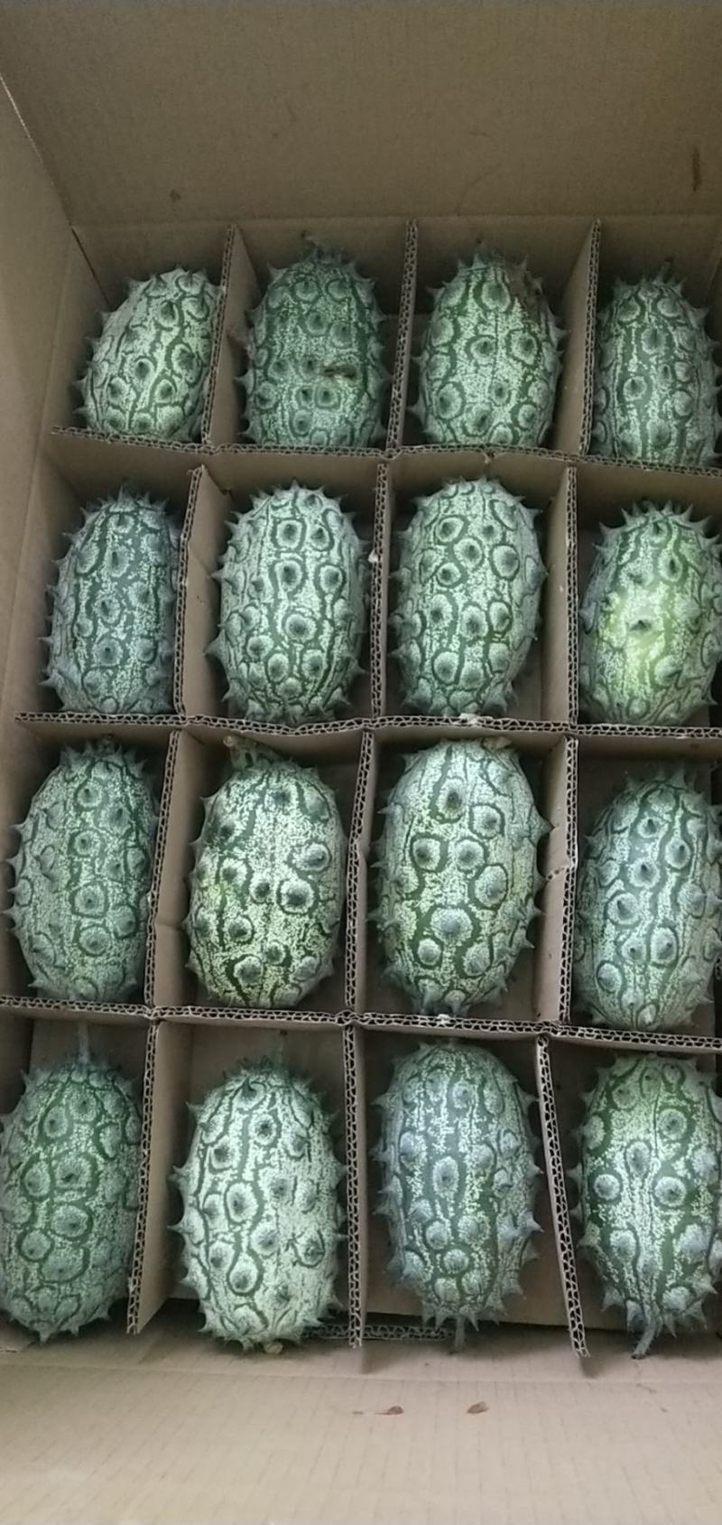 百利特色农业大量收购火参果，你种植，我收购