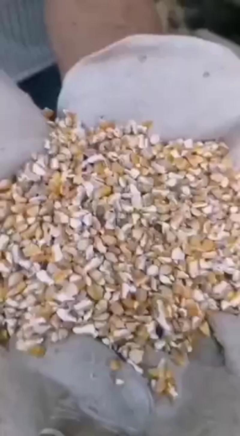 常年供应碎玉米碎小麦下脚料，适合各种畜牧养殖