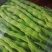 高原特色无筋豆，四季豆，青棒豆大量上市中。需要的联系