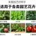 奥丰矿源黄腐酸钾1000克全水溶生根调酸碱微颗粒喷雾