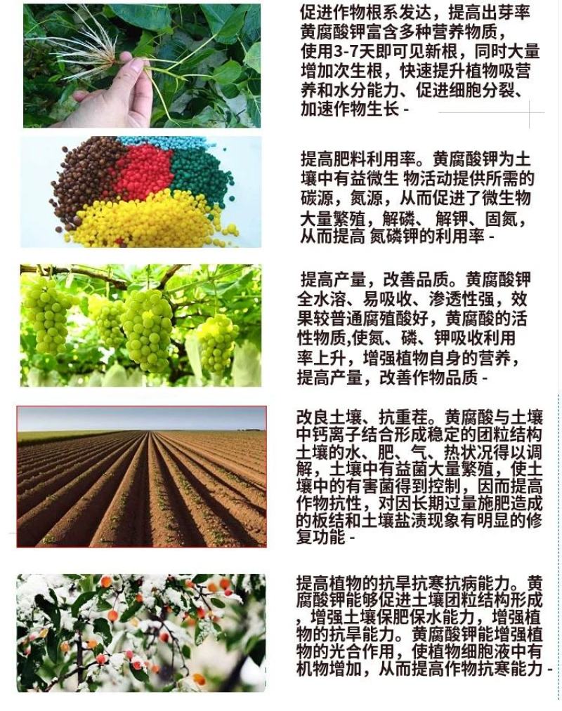 奥丰矿源黄腐酸钾1000克全水溶生根调酸碱微颗粒喷雾