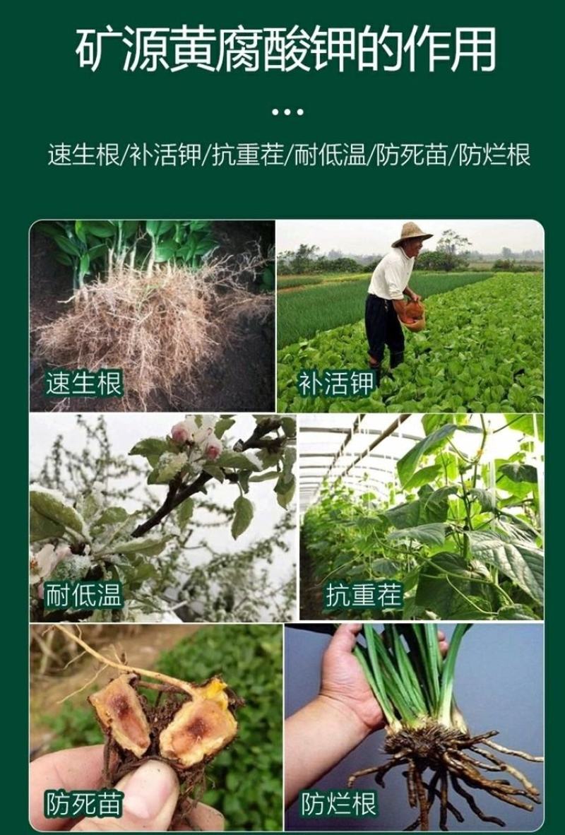 奥丰矿源黄腐酸钾1000克全水溶生根调酸碱微颗粒喷雾