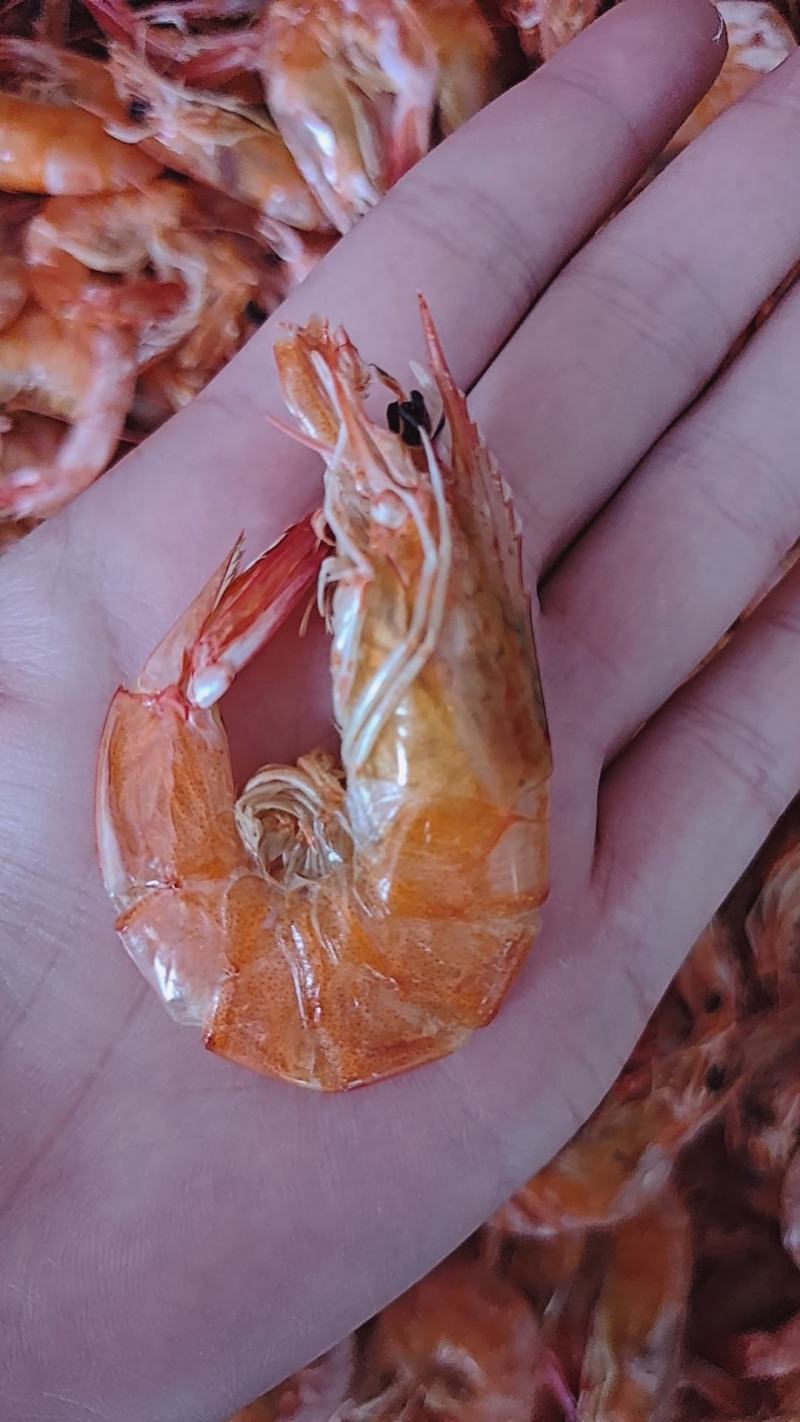 散装小烤虾，大量有现货，薄利多销，长年供货，一手货源