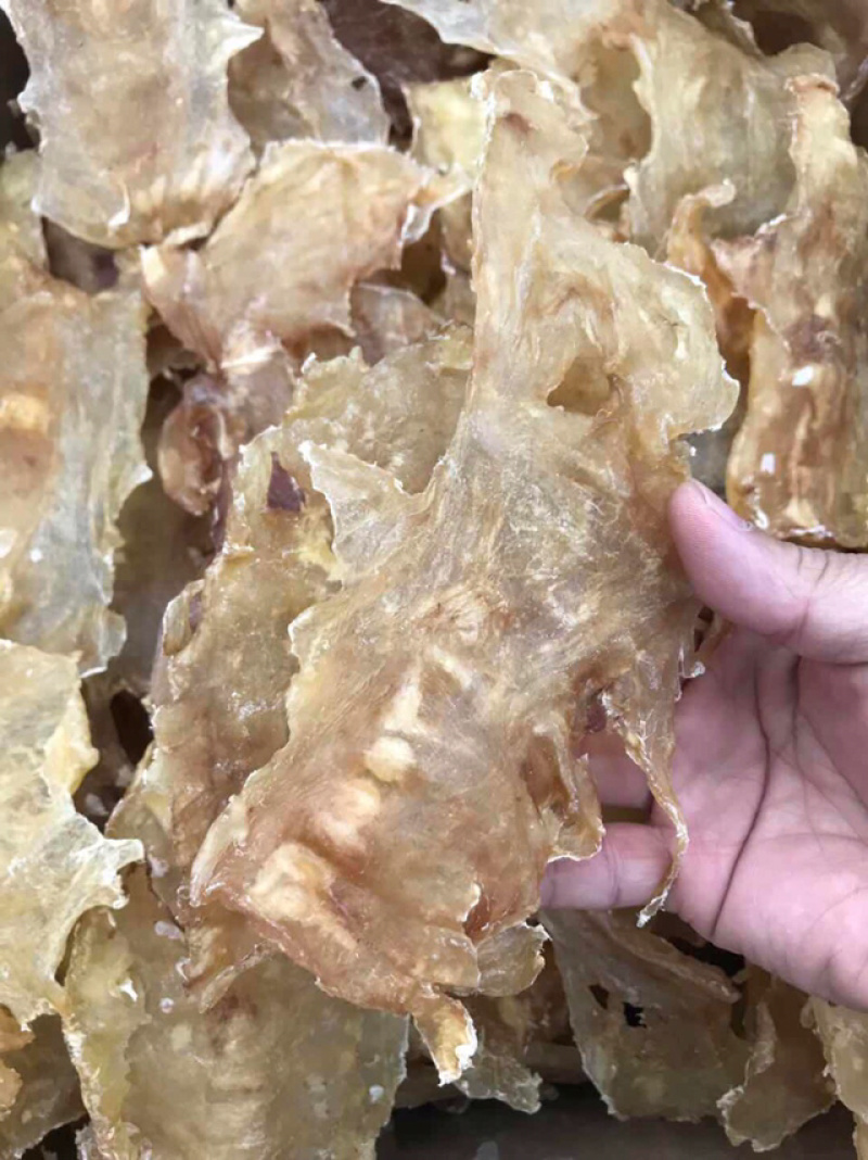 鱼胶花胶新西兰进口深海无添加原色18-20头鳕鱼胶月子胶