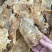 鱼胶花胶新西兰进口深海无添加原色18-20头鳕鱼胶月子胶