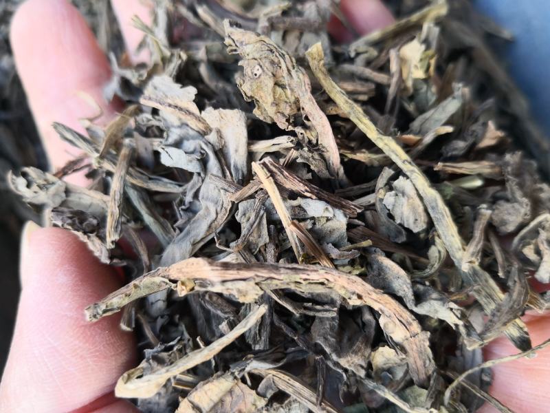 大青叶河北干货2斤包邮量大从优欢迎选购