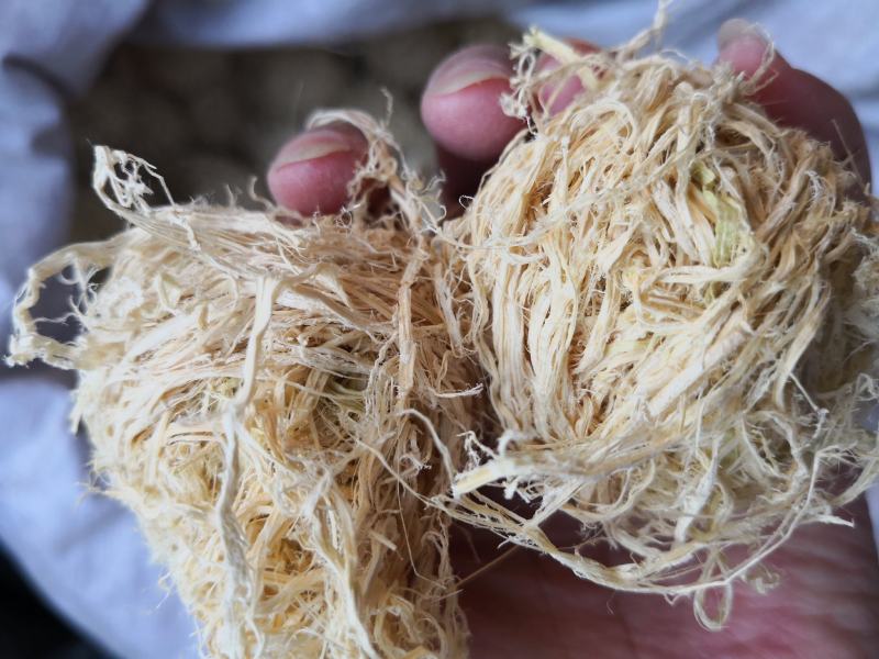 竹茹广西干货圆球量大从优经营各种中药材