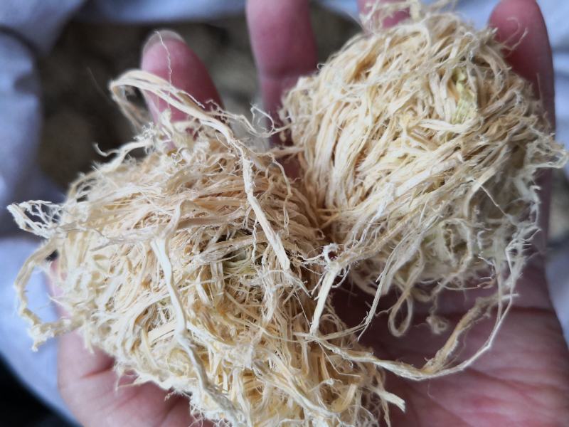 竹茹广西干货圆球量大从优经营各种中药材