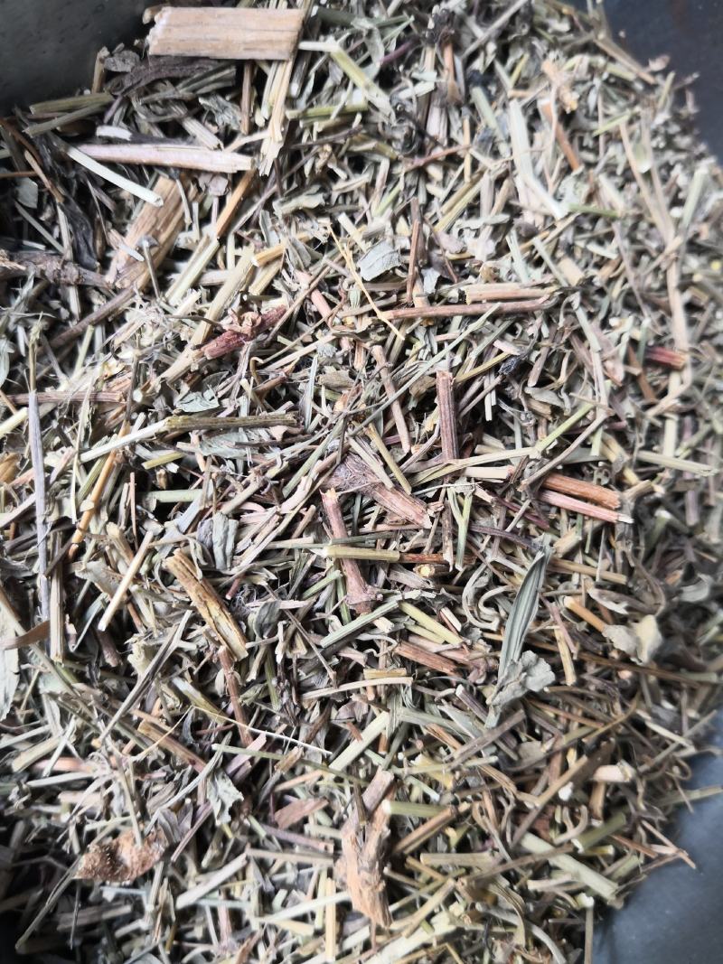 透骨草河北干货人工种植量大从优欢迎选购