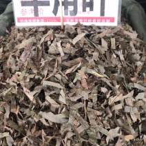 淫羊藿切丝淫羊藿全叶野生品种！