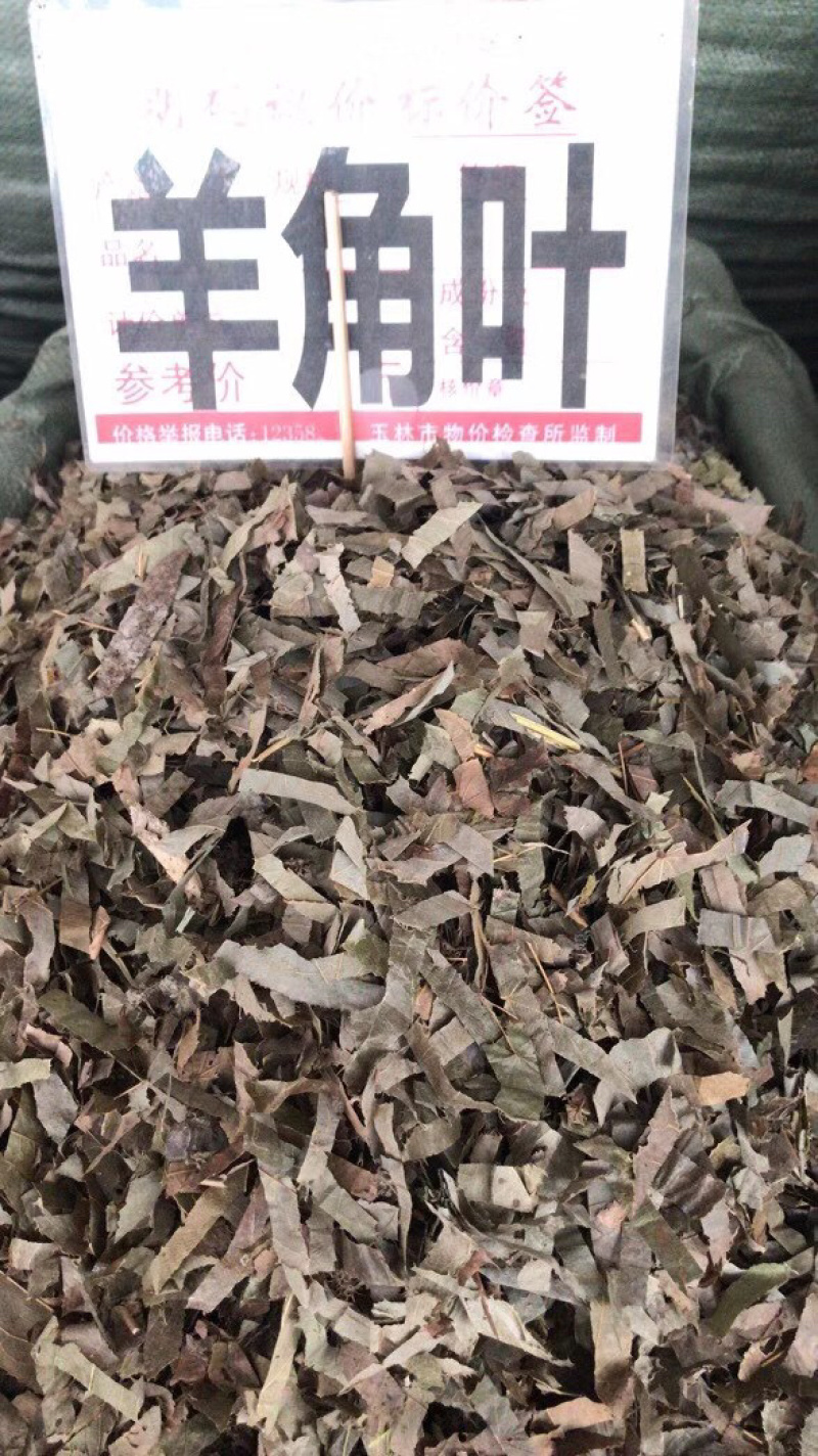 淫羊藿切丝淫羊藿全叶野生品种！