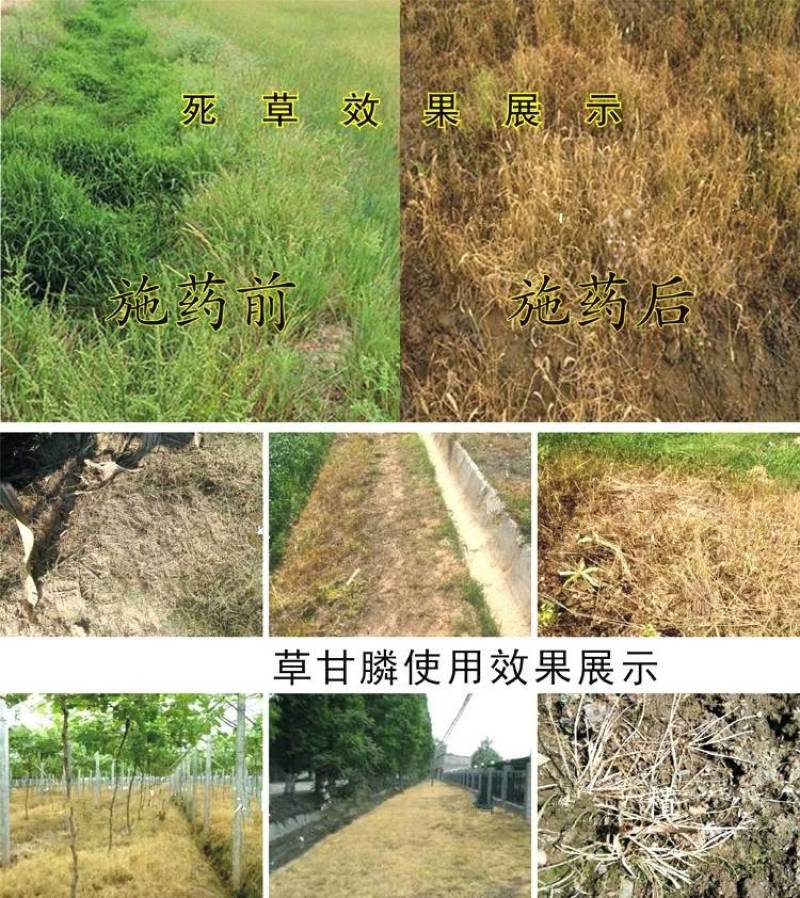 给力锄51%2甲草甘膦200克园林荒地除杂草灭生除草剂