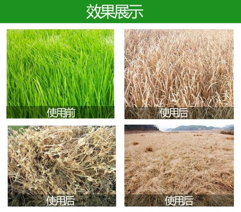 给力锄51%2甲草甘膦200克园林荒地除杂草灭生除草剂