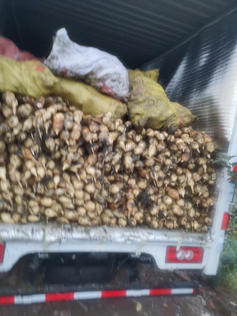 3735割荷杆，短节无虫眼