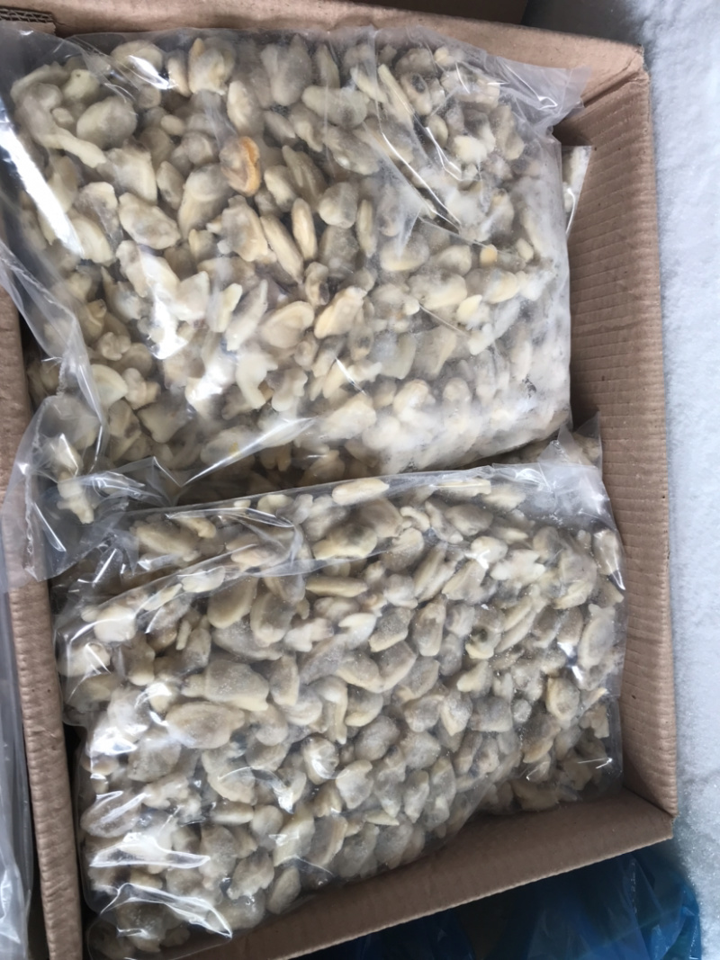 花甲肉速冻海产品系列、、、、、、、、