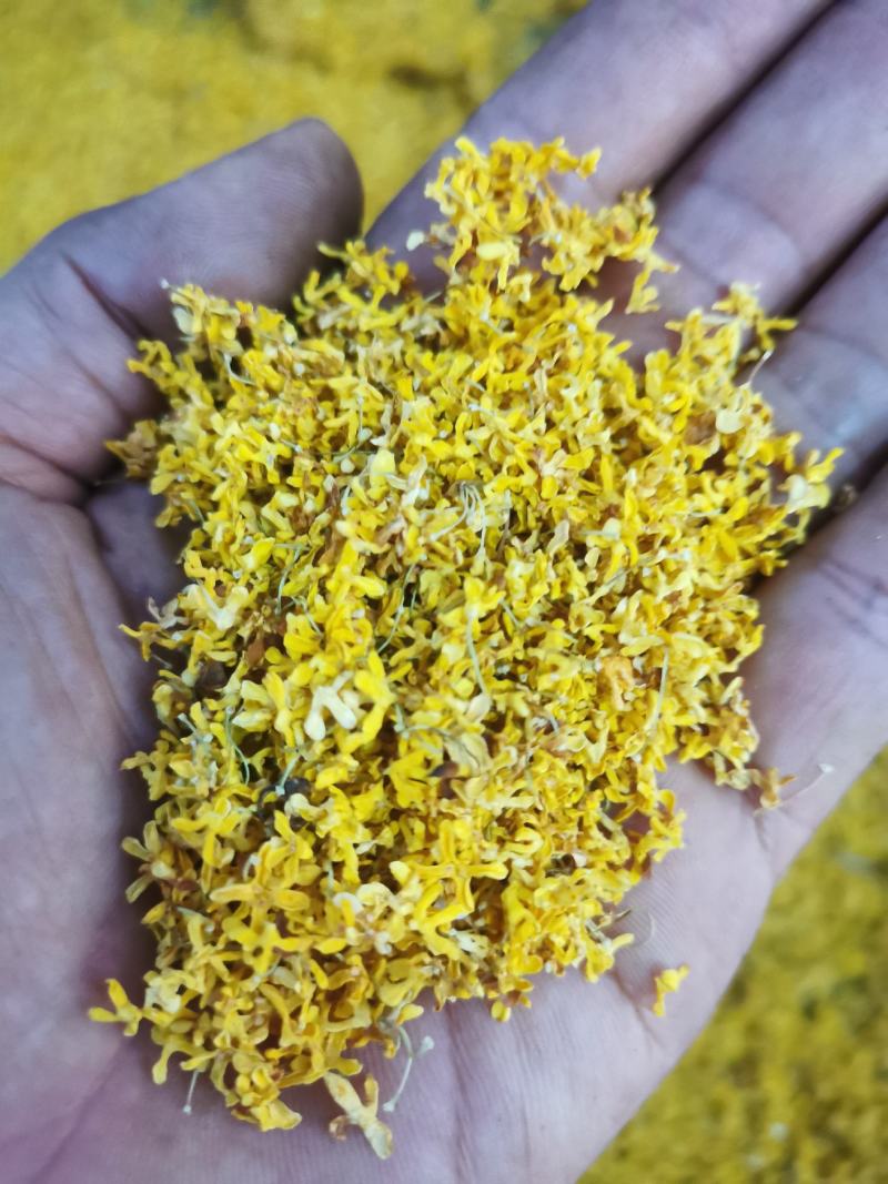 桂花茶，桂花干，自产自销。