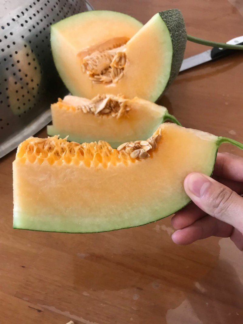 耀龙25号青皮哈密瓜大量货源产地实力代办