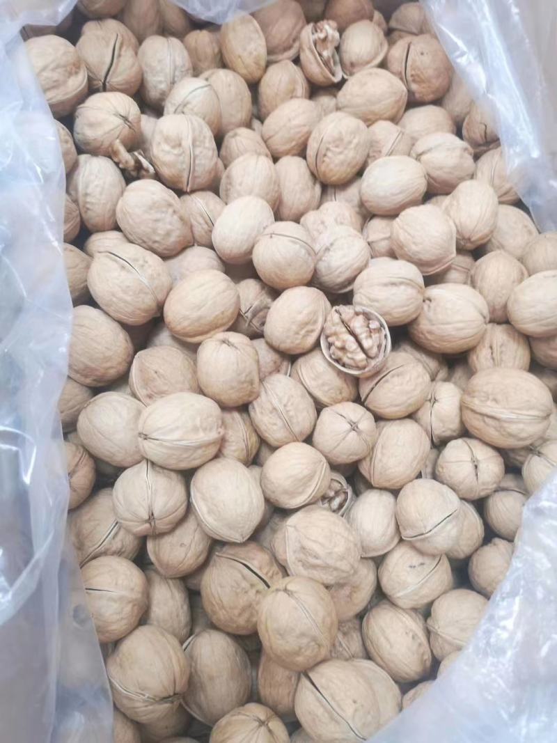新疆阿克苏奶香纸皮核桃，五斤起发货，量大价优
