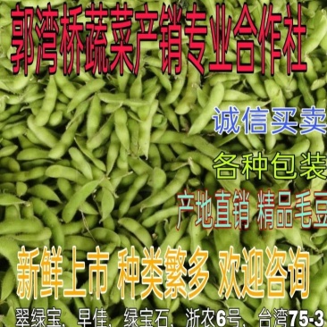 加工厂毛豆台湾75-3基地直供，可视频看货！
