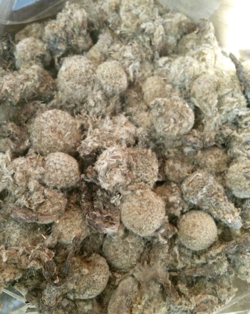 雪莲花藏雪莲干货中药材量大从优2斤起包邮
