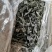 烘干海带结，海洋蔬菜，无沙无黄叶，厂家直销。