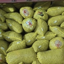 精品鲜花生，小白沙，大吨位供应，电商市场超市档口加工厂