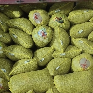 精品鲜花生，小白沙，大吨位供应，电商市场超市档口加工厂