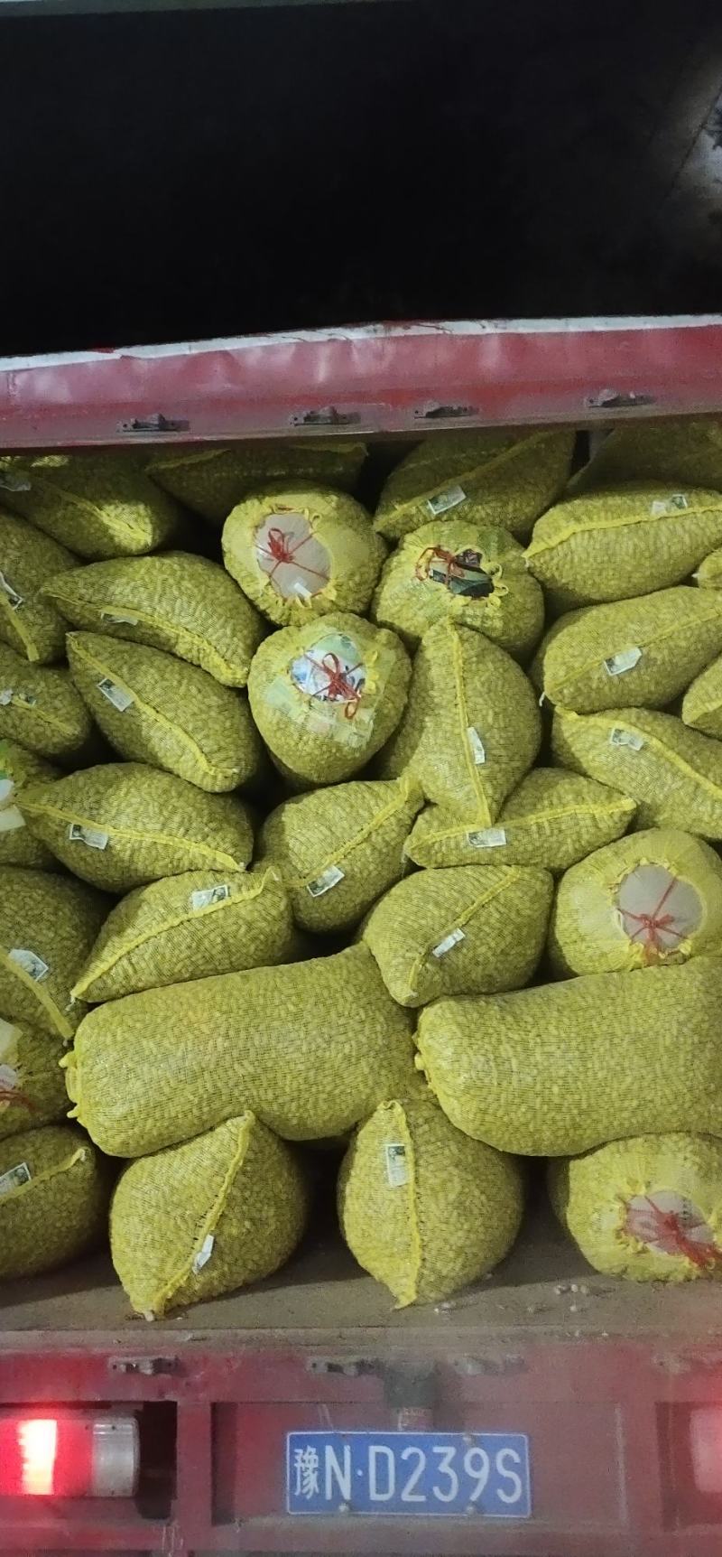 精品鲜花生，小白沙，大吨位供应，电商市场超市档口加工厂