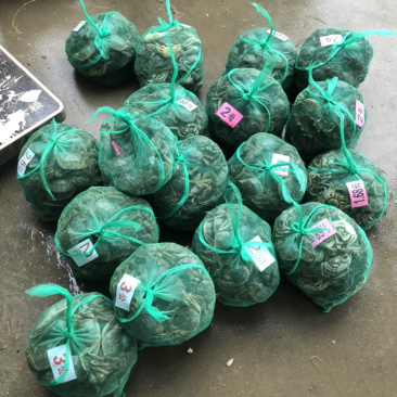 寻找真诚的合作伙伴，大闸蟹批发零售