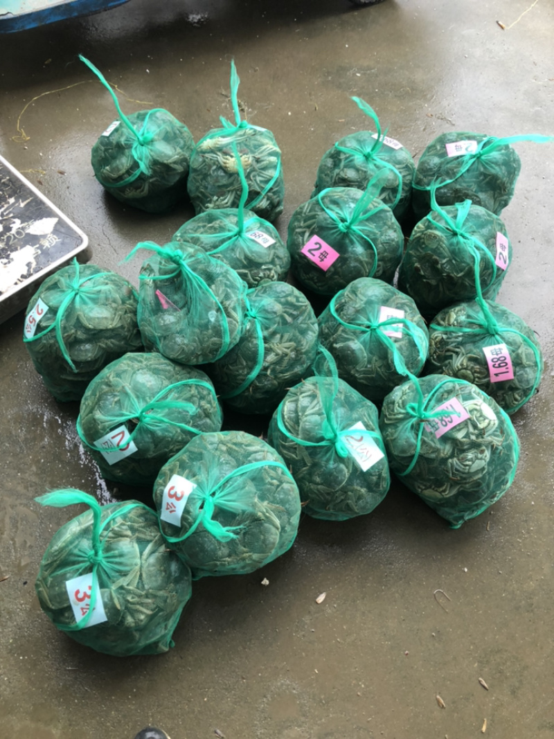 寻找真诚的合作伙伴，大闸蟹批发零售