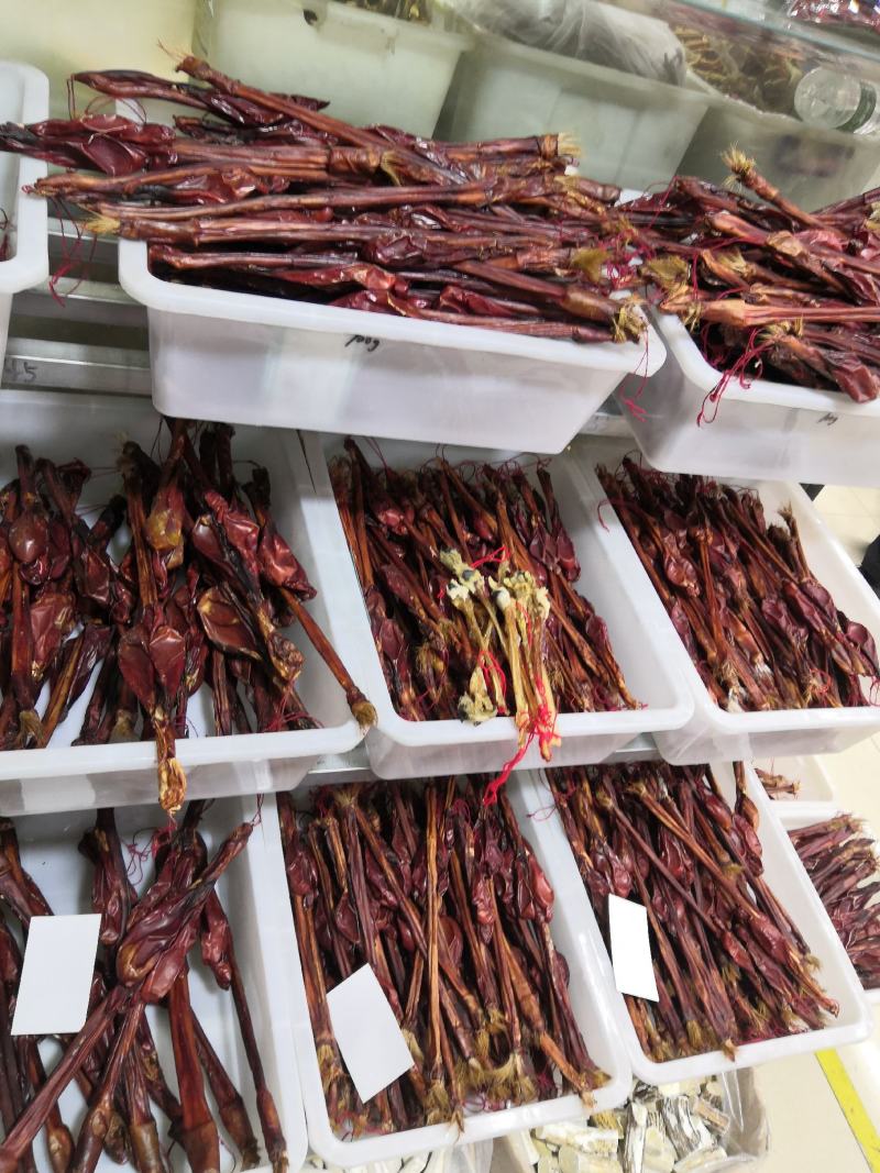 各种鞭狗鞭狗肾黑狗鞭35厘米左右各种规格欢迎进店
