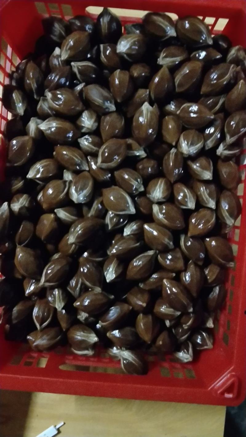黑榄核乌榄核橄榄核统货