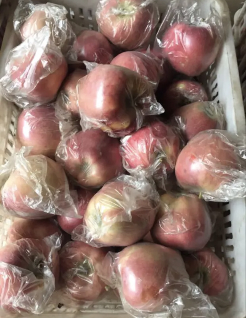 红星苹果色泽好，果型大，价格低，场地直销