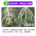 根结线虫专用药阿维.噻唑膦杀线虫药黄瓜茄子果树根瘤病灌根