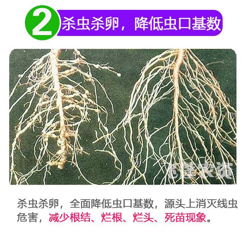 根结线虫专用药阿维.噻唑膦杀线虫药黄瓜茄子果树根瘤病灌根
