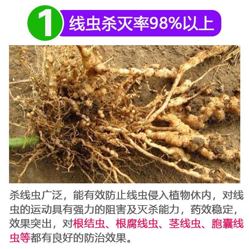 根结线虫专用药阿维.噻唑膦杀线虫药黄瓜茄子果树根瘤病灌根