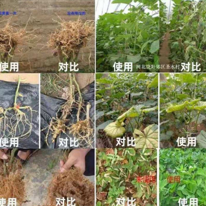 根结线虫专用药阿维.噻唑膦杀线虫药黄瓜茄子果树根瘤病灌根