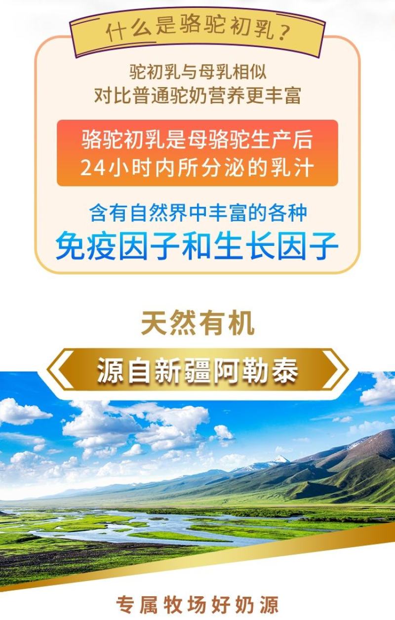 新疆旺源骆驼初乳奶粉纯驼初乳新鲜