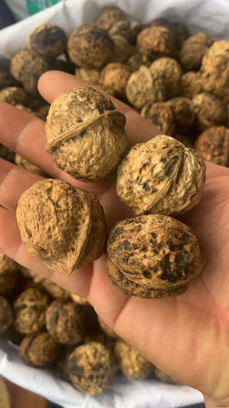 新疆核桃麻子核桃现货供应下单秒发一手货源价格美丽