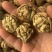 新疆核桃麻子核桃现货供应下单秒发一手货源价格美丽