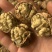 新疆核桃麻子核桃现货供应下单秒发一手货源价格美丽