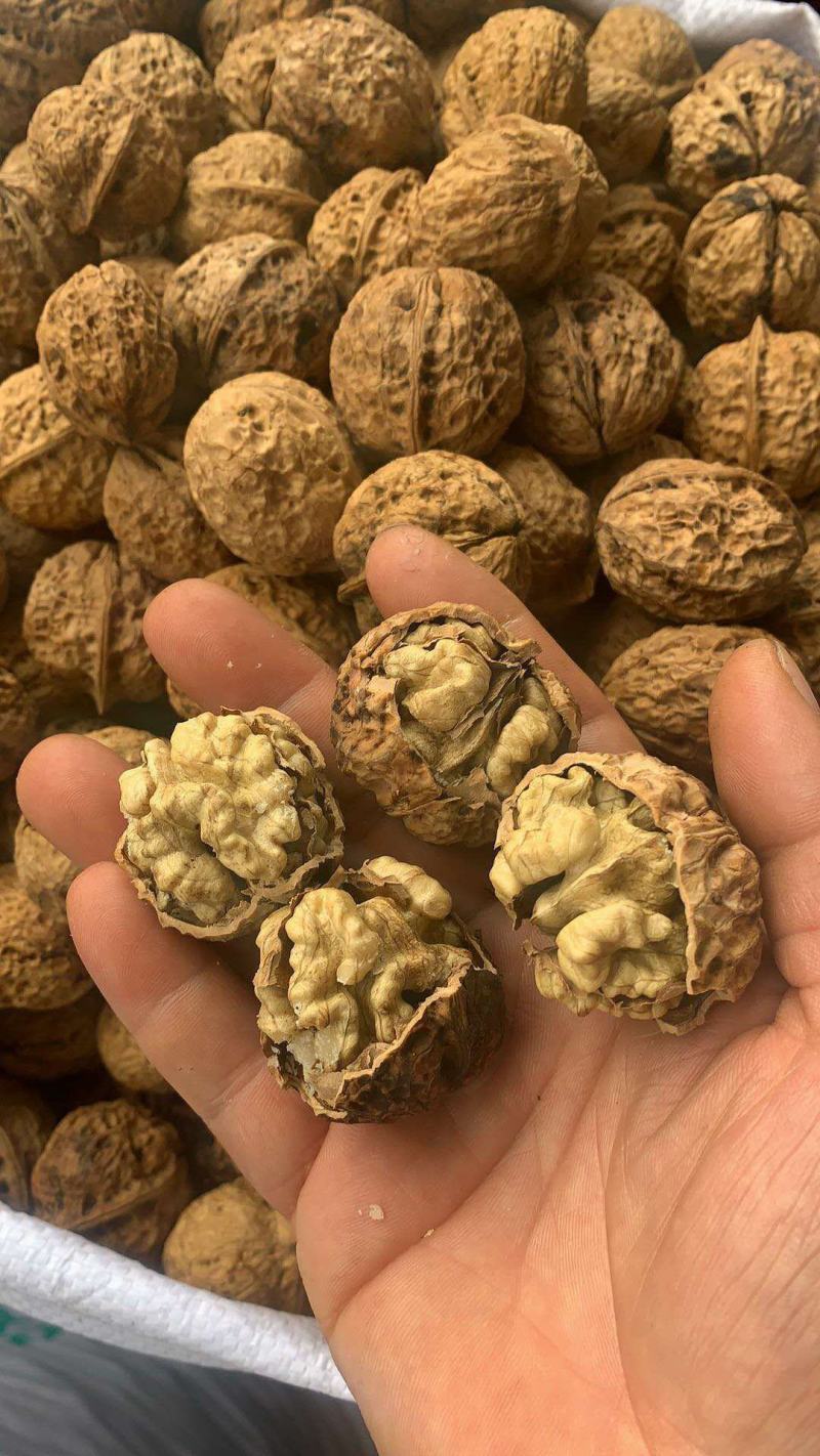 新疆核桃麻子核桃现货供应下单秒发一手货源价格美丽