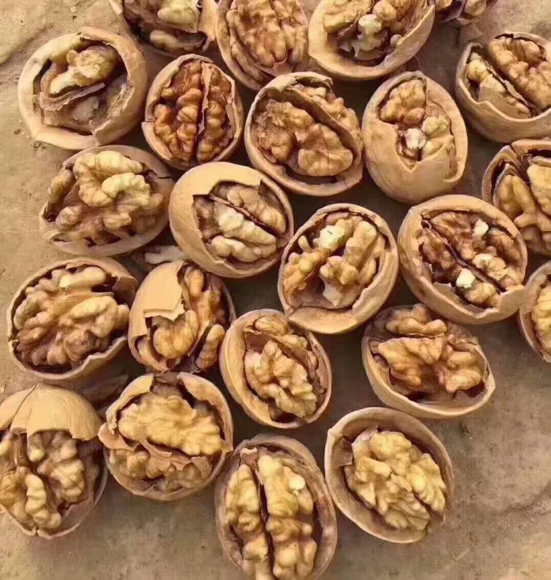 新疆核桃麻子核桃现货供应下单秒发一手货源价格美丽