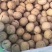 新疆核桃麻子核桃现货供应下单秒发一手货源价格美丽
