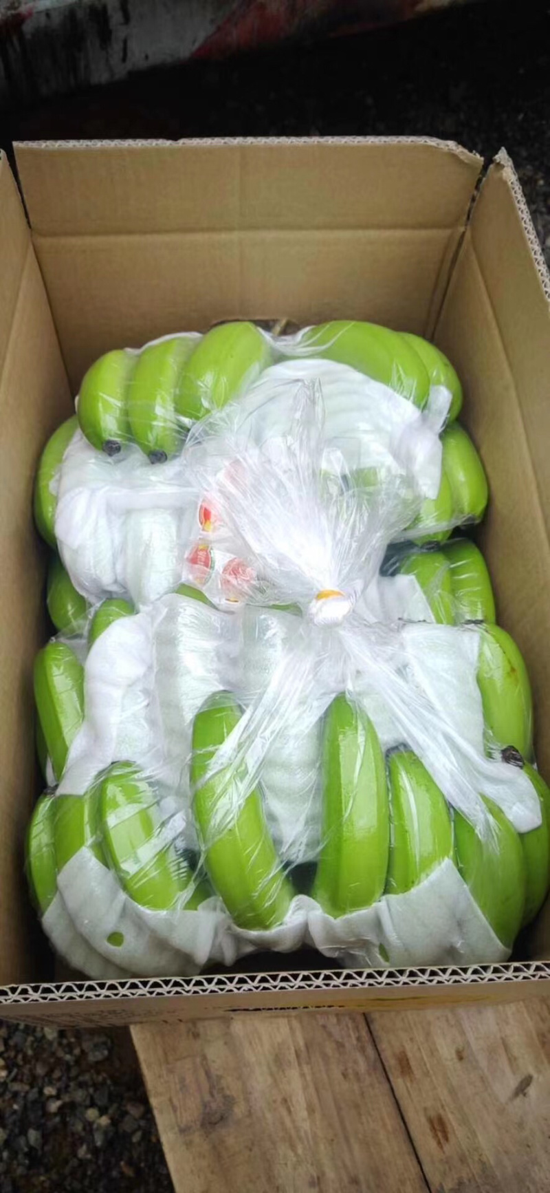 香蕉🍌香蕉🍌香蕉🍌大量现货供应