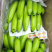 香蕉🍌香蕉🍌香蕉🍌大量现货供应
